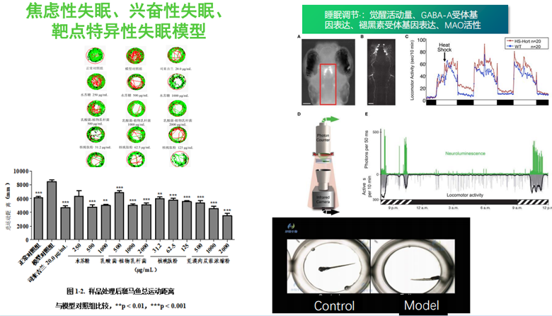 益生菌發(fā)酵原料緩解焦慮與調(diào)節(jié)睡眠功效比較