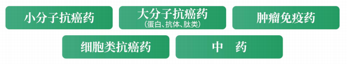 腫瘤類(lèi)器官和人免疫重建斑馬魚(yú)應(yīng)用