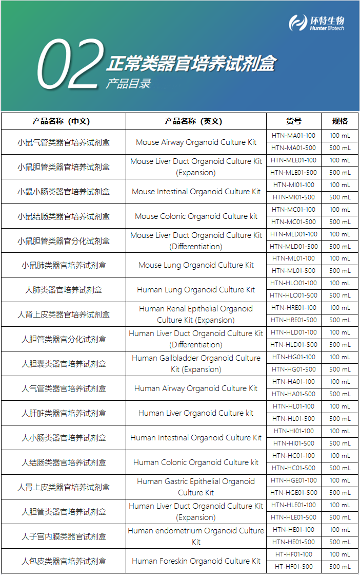 正常類器官培養(yǎng)試劑盒