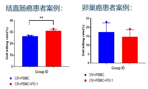 小鼠PDX模型腫瘤免疫研究