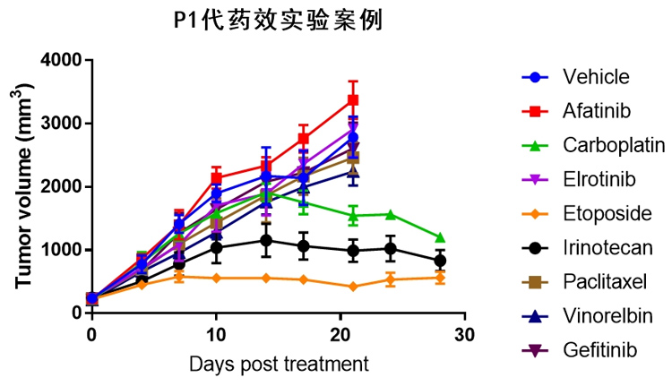 小鼠PDX肺癌及肝癌模型