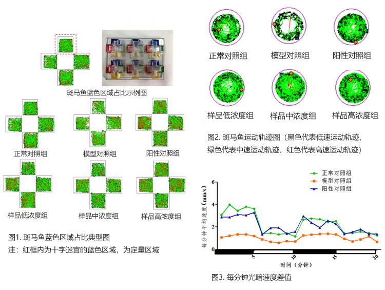 1斑馬魚行為學(xué)分析部分實(shí)驗(yàn)結(jié)果展示