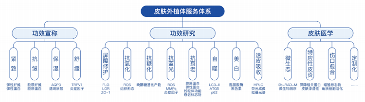 皮膚外植體服務(wù)項目