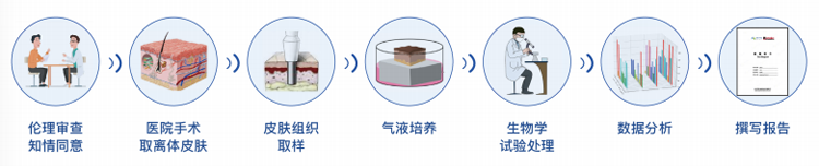 皮膚外植體服務(wù)流程